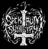 logo Spektrum Synistry